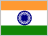 Indian Rupee (INR)